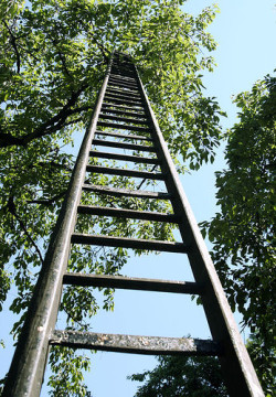 fruit-ladder